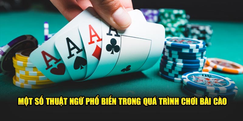 Một số thuật ngữ phổ biến trong quá trình chơi bài cào online